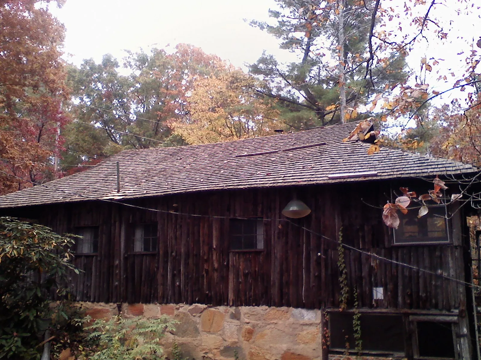 Weathered wood shake roof on a rustic board sided cabin in Milford